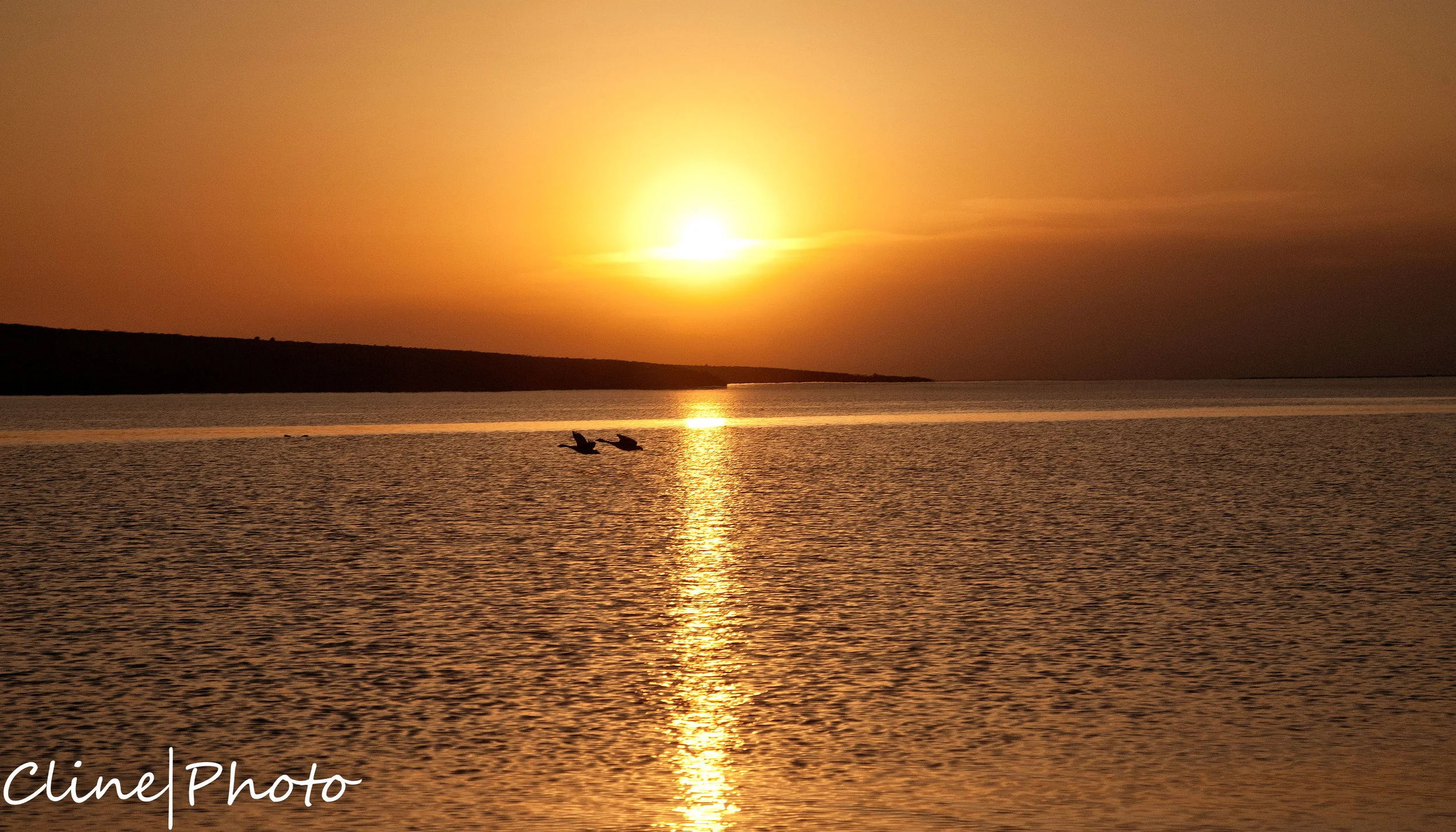 IMG_2138-Edit-Edit.jpg