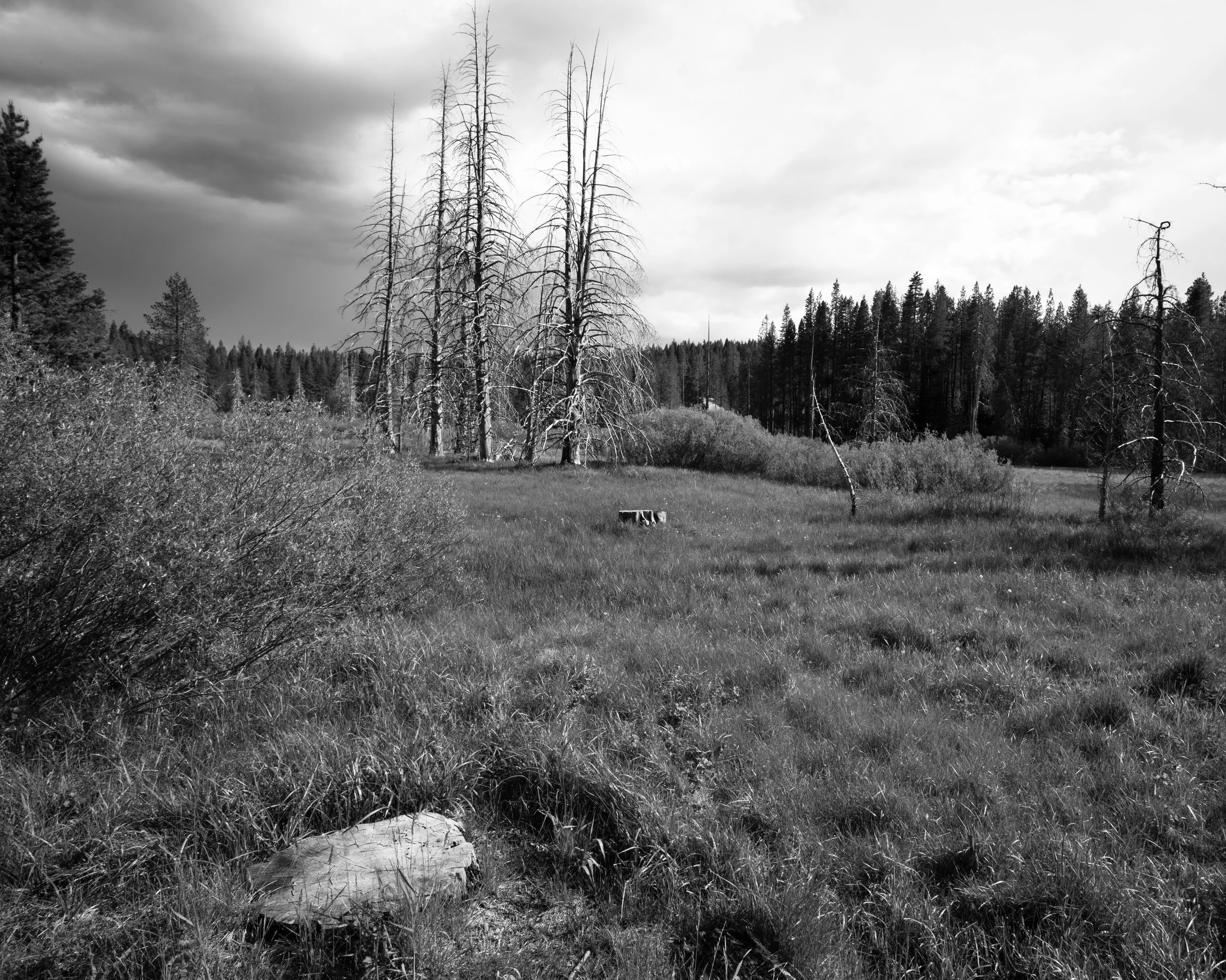 IMG_4465.jpg