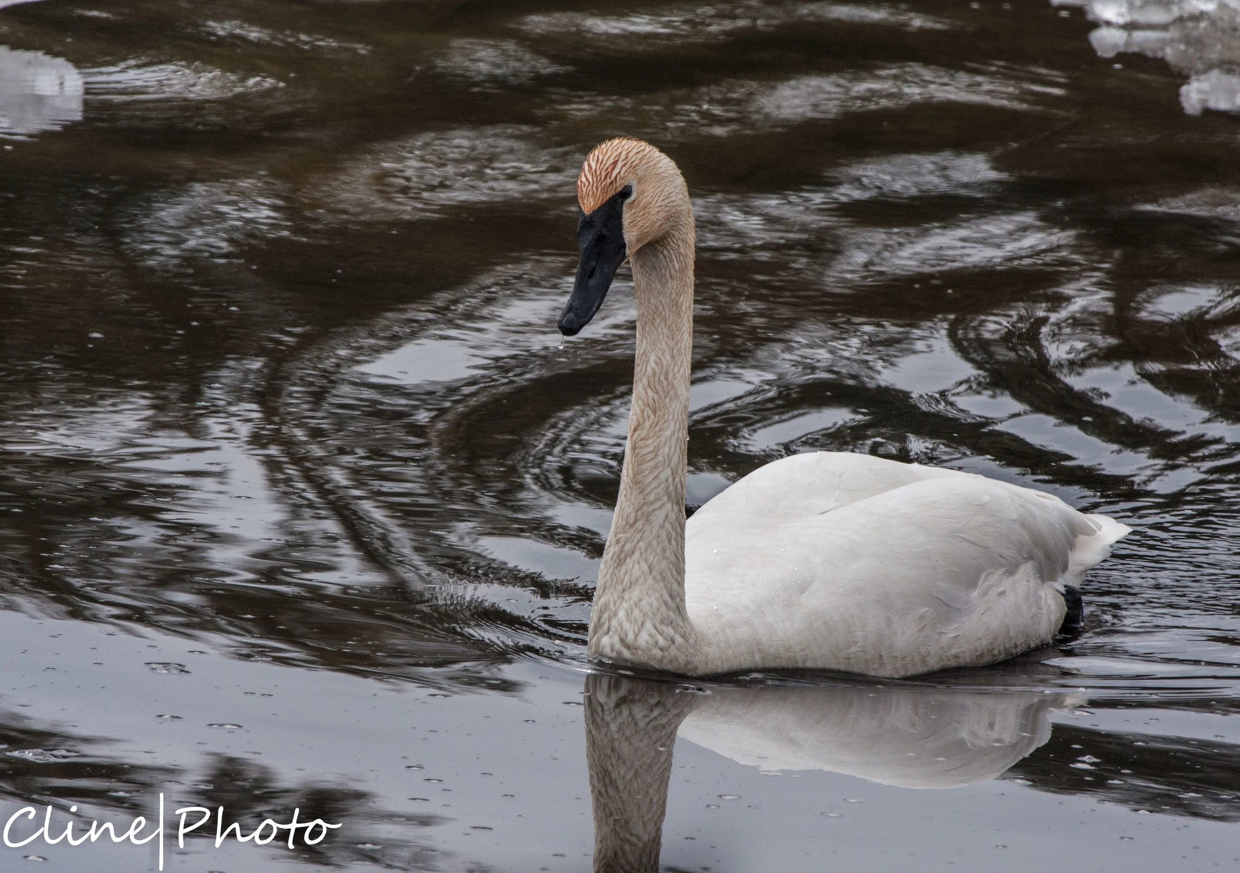 IMG_1245-Edit.jpg