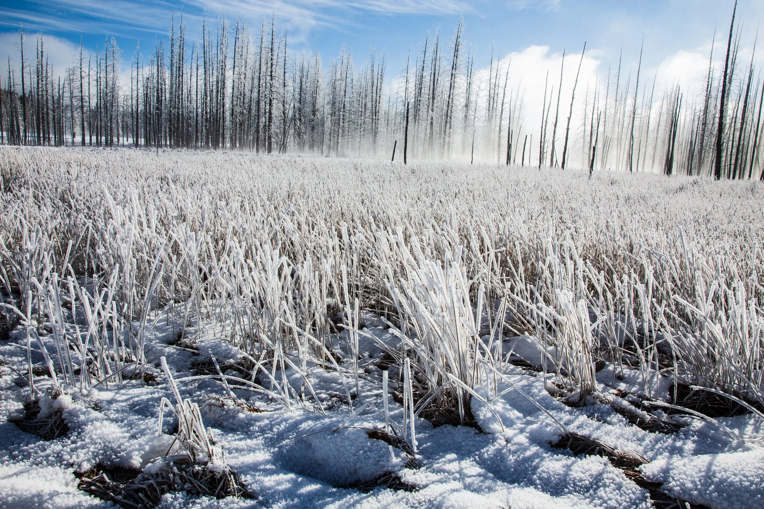 Hoar Frost morning
