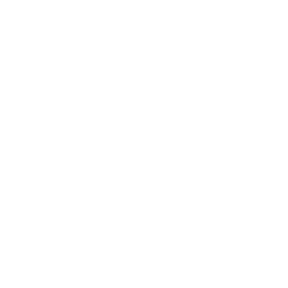 Larsen Bookkeeping Services