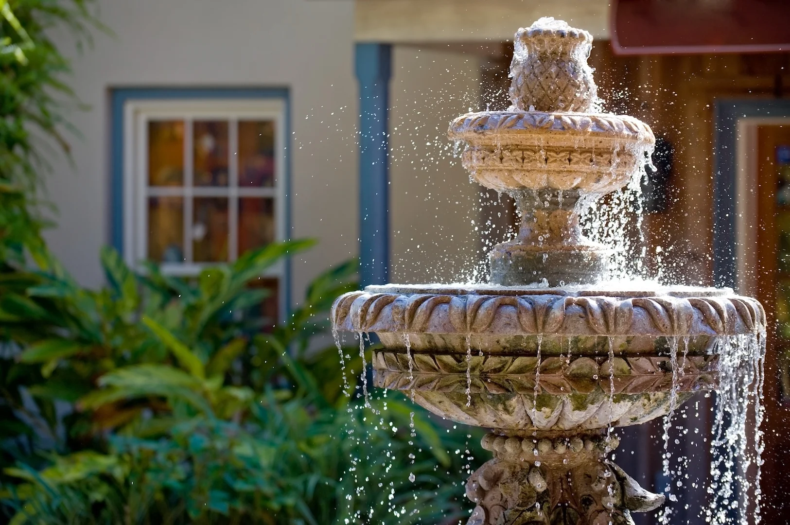 Water fountain banner.jpeg