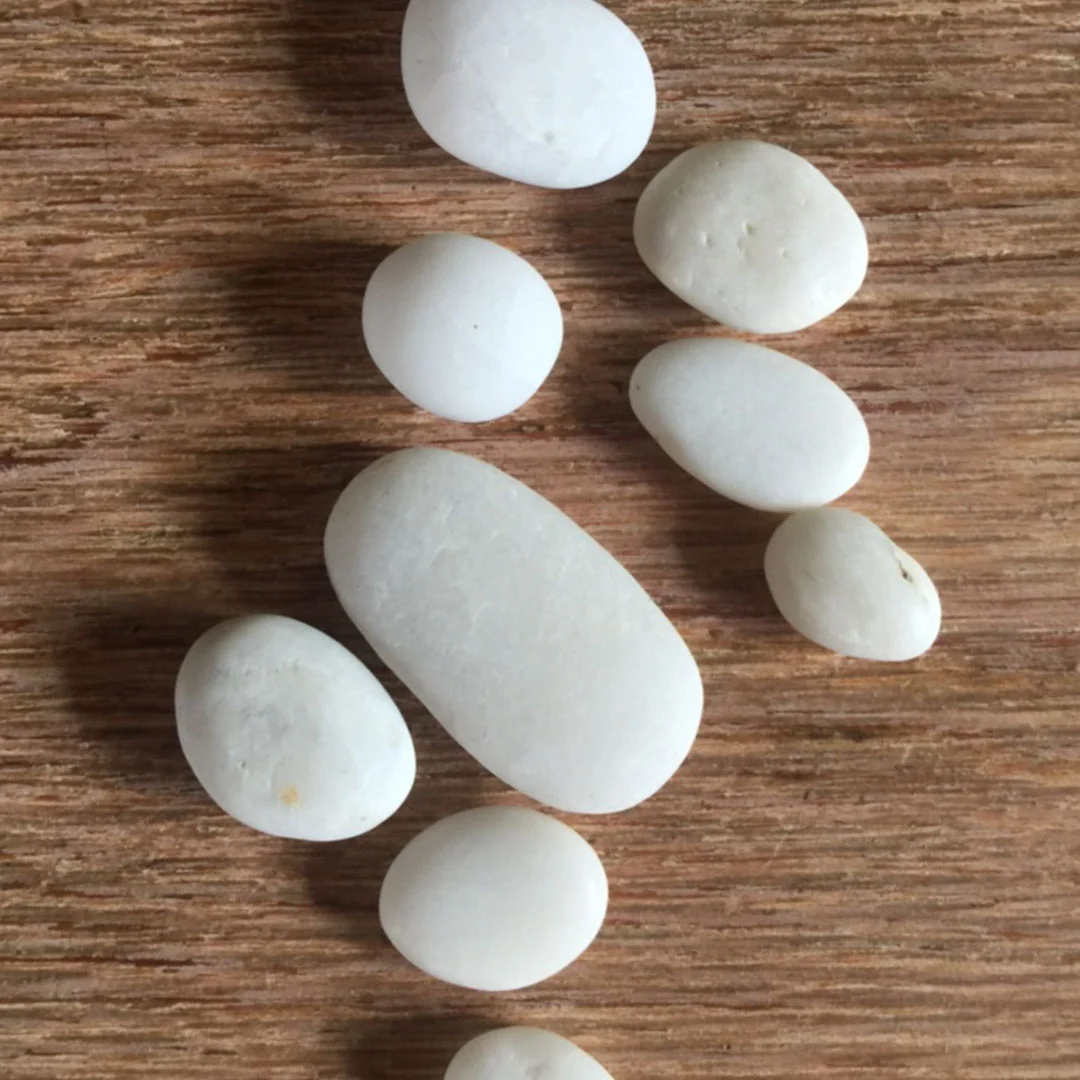 p5.jpg