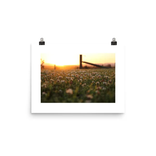 mockup-02b3a408.jpg
