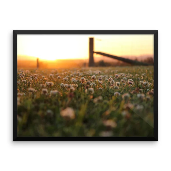 mockup-5d9a1762.jpg