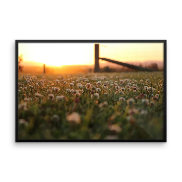 mockup-6350eded.jpg
