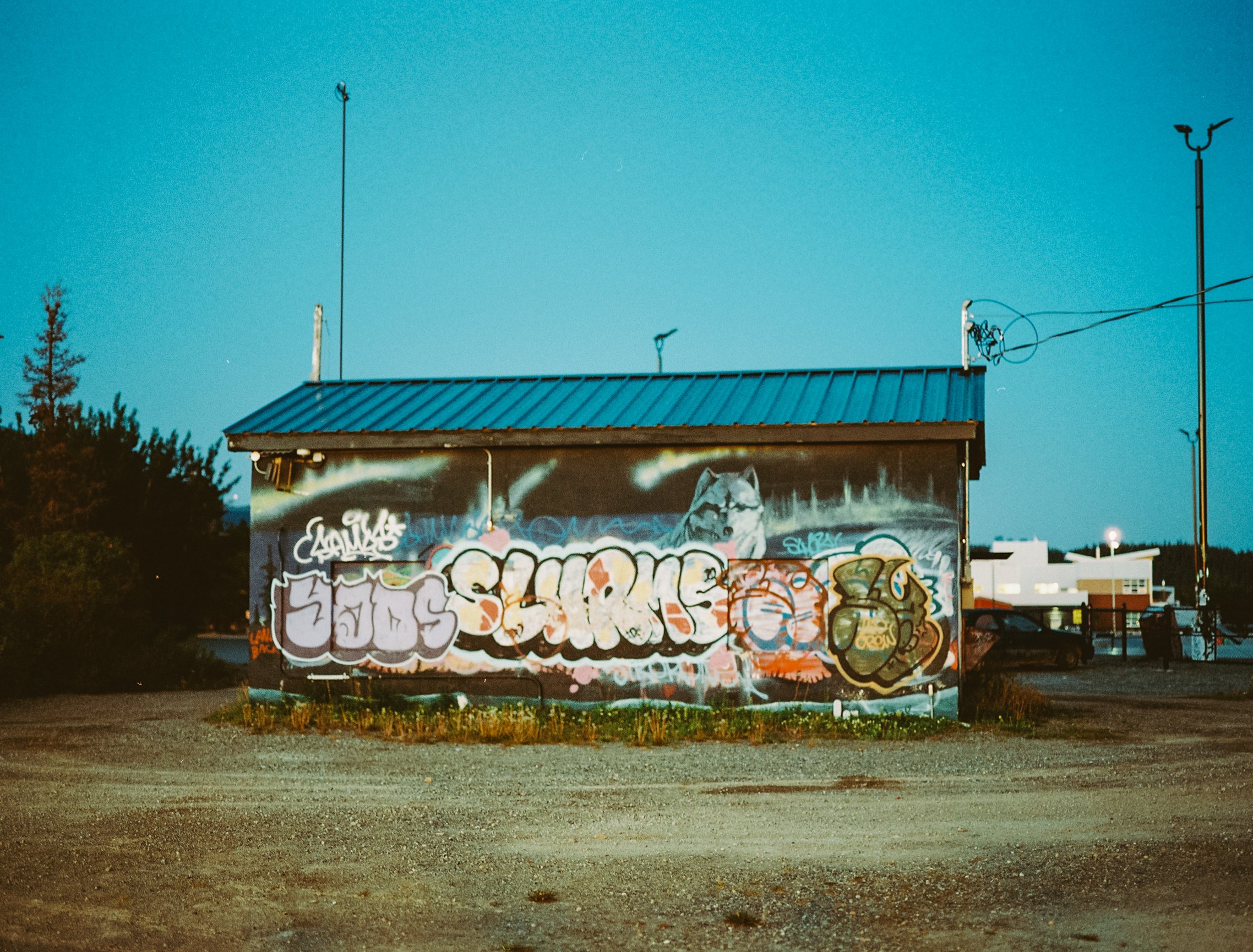 260622 120mm Portra 800 Whitehorse7204000_7204000-R1-E008.jpg
