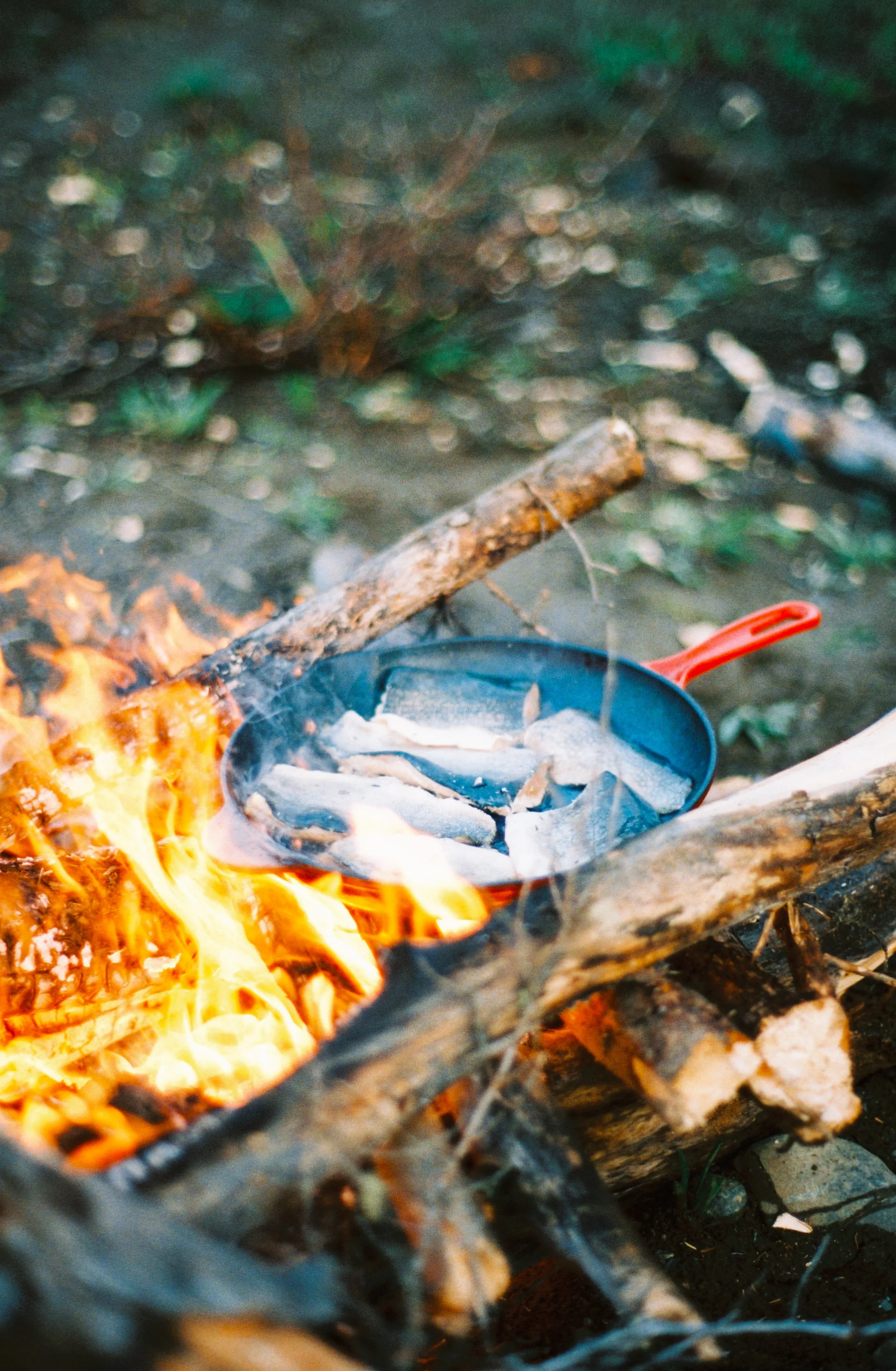 260619 35mm Portra 800 Yukon_7195000_7195000-R1-067-32.jpg