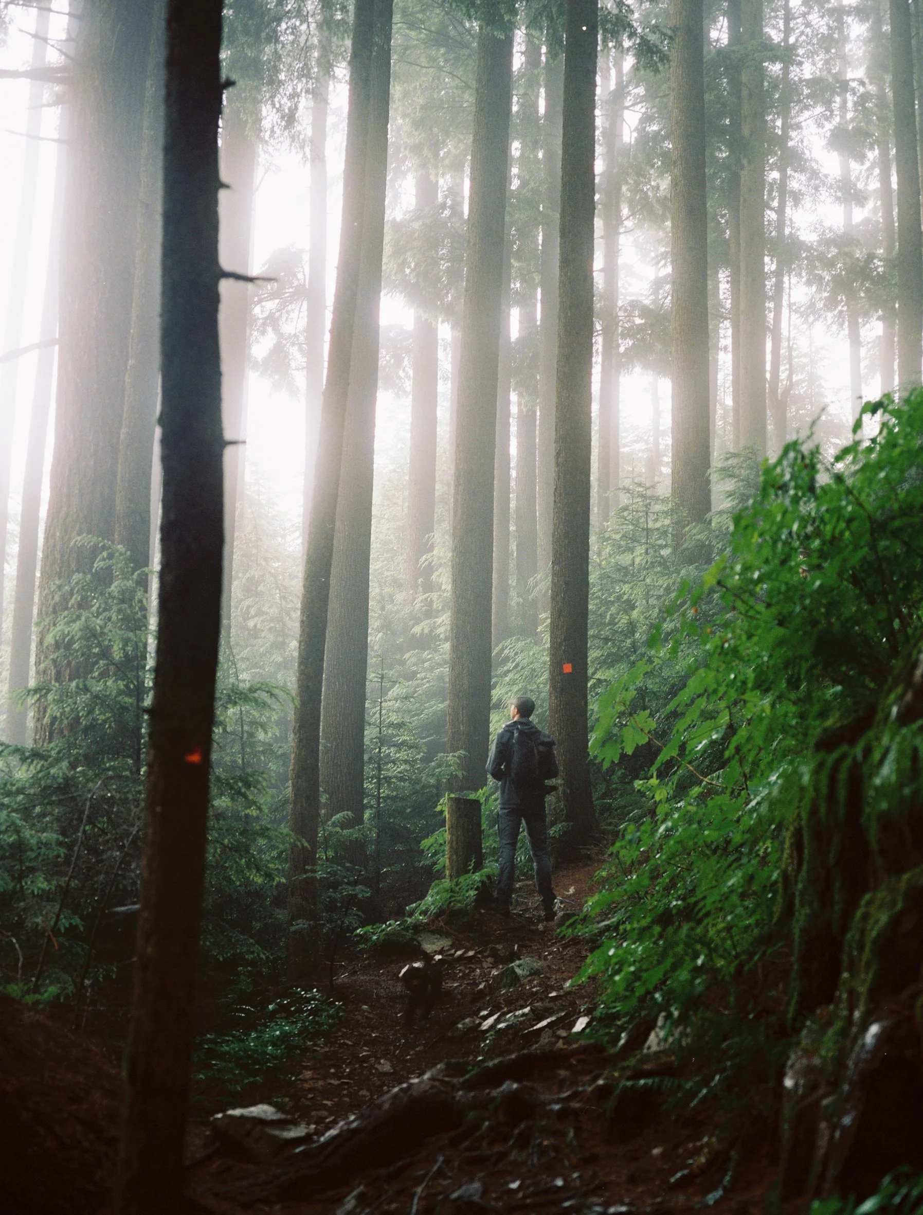 260706 120mm Portra 800 BC7201000_7201000-R1-E008.jpg