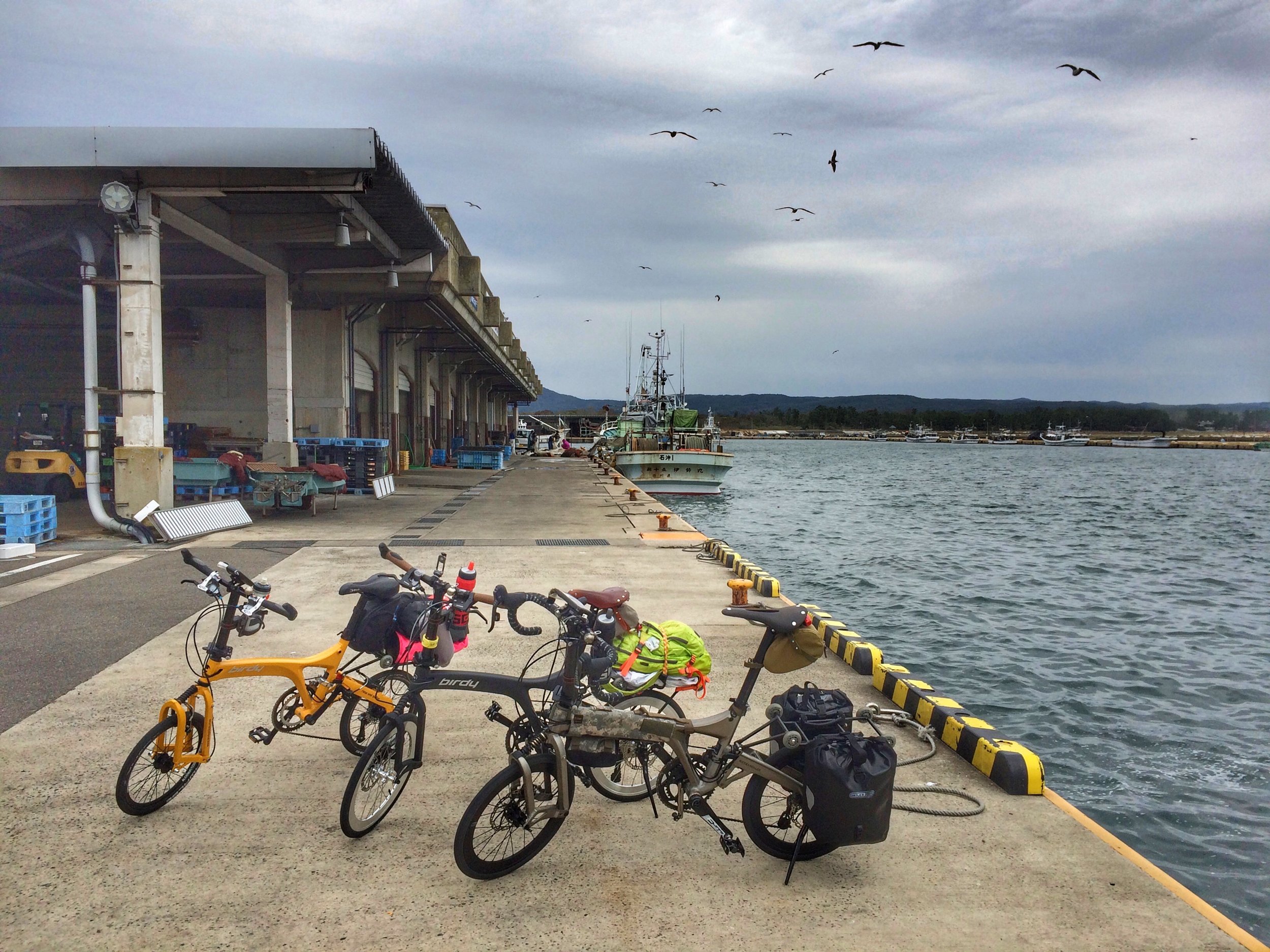 Taking a quick break at a fishing port, right before the rain started.