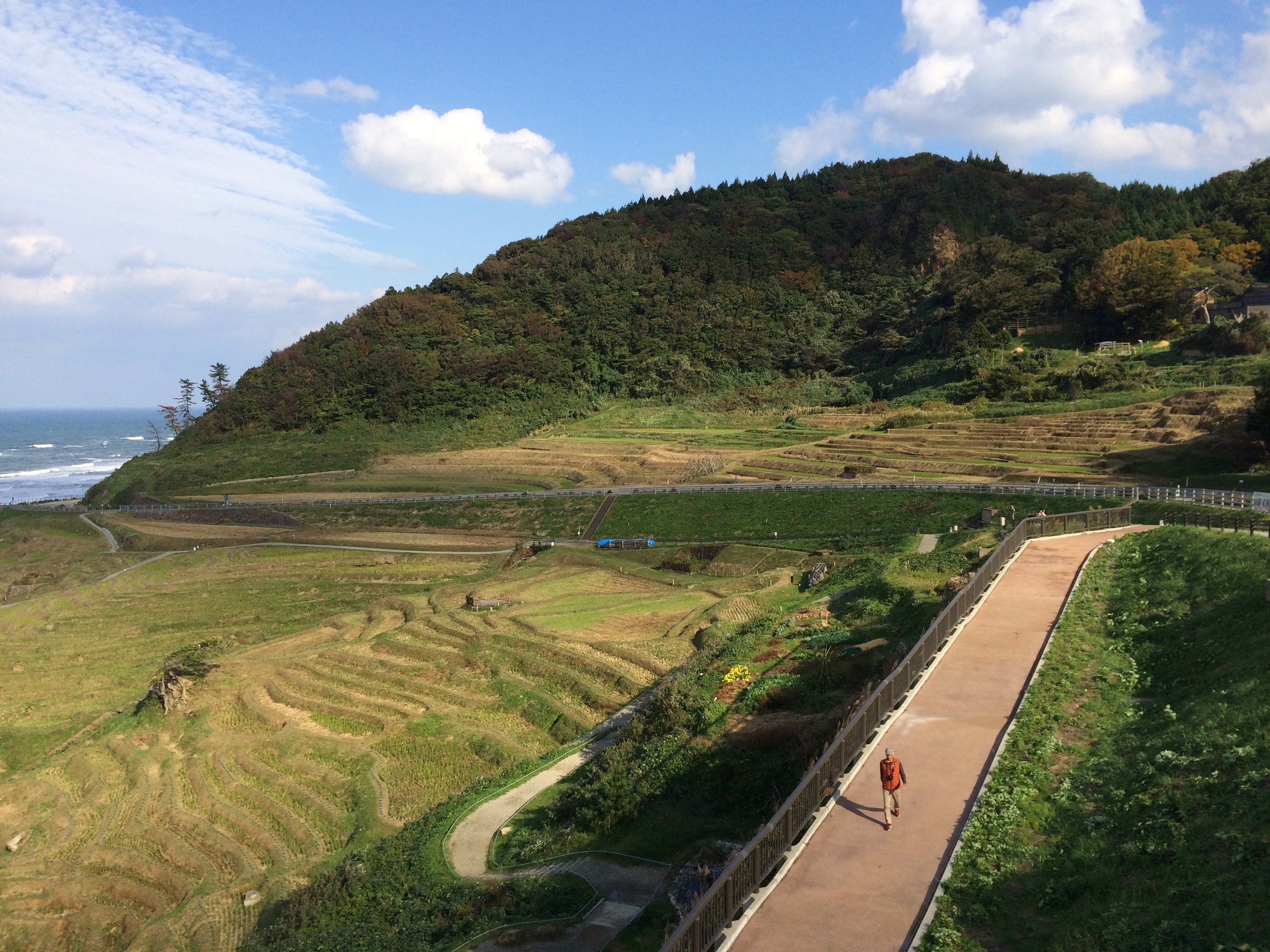 The beautifully sculpted rice terraces of Shiroyone Senmaida.