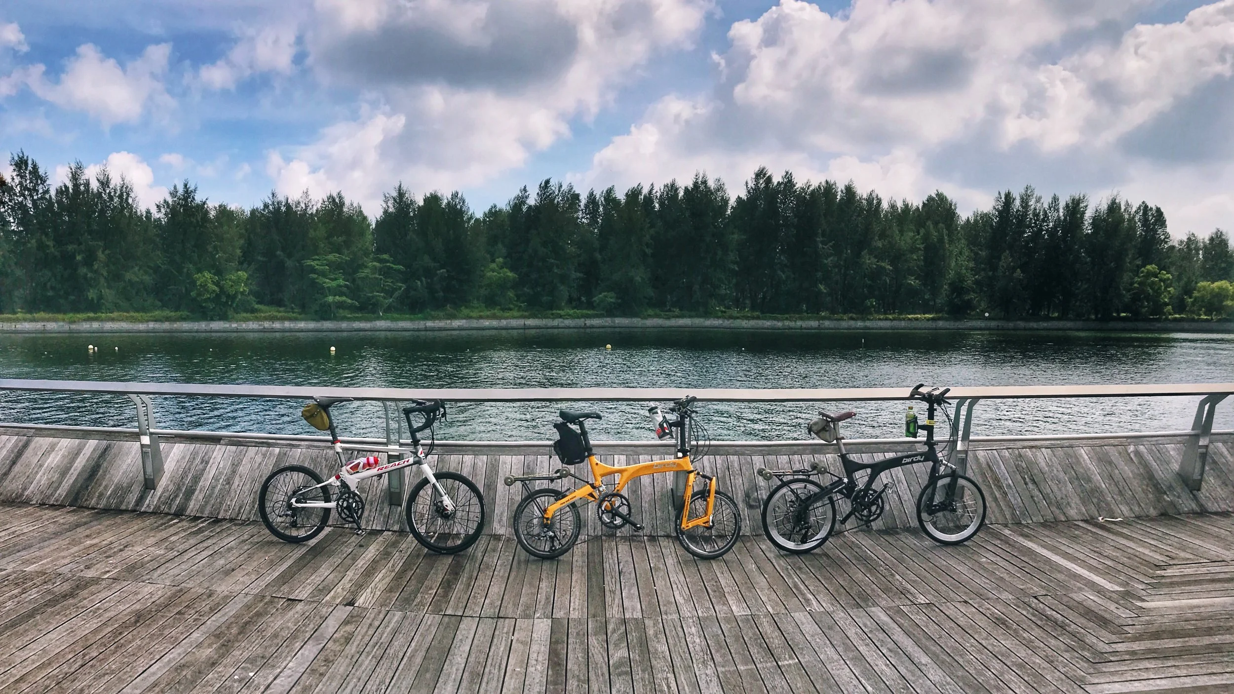 From left to right: Reach with 451 wheels, Birdy Mk2 with 355 wheels, Birdy Mk3 with 406 wheels.