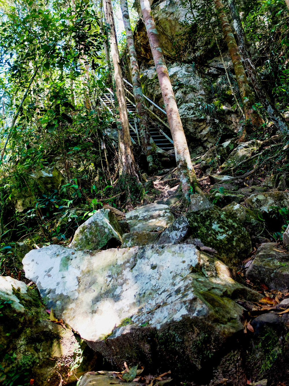 Caption- The dreaded rocky staircase.jpg