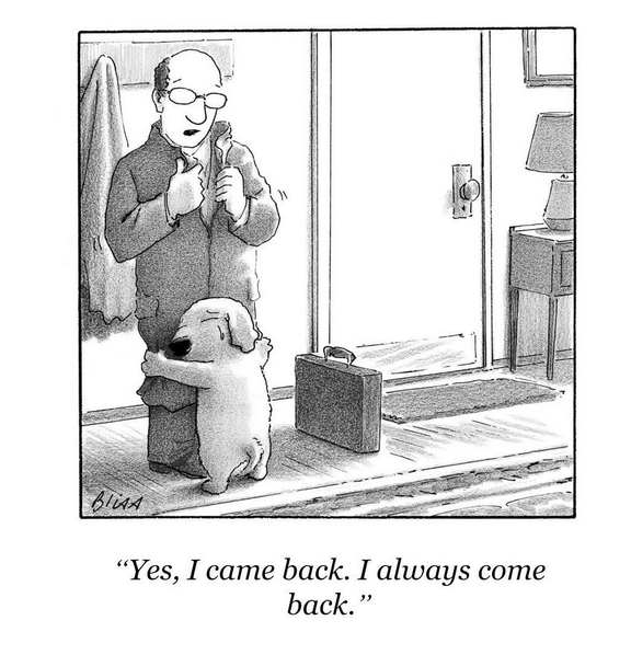 Missing my dog 