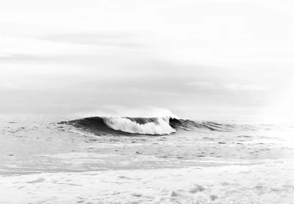 Tsunami