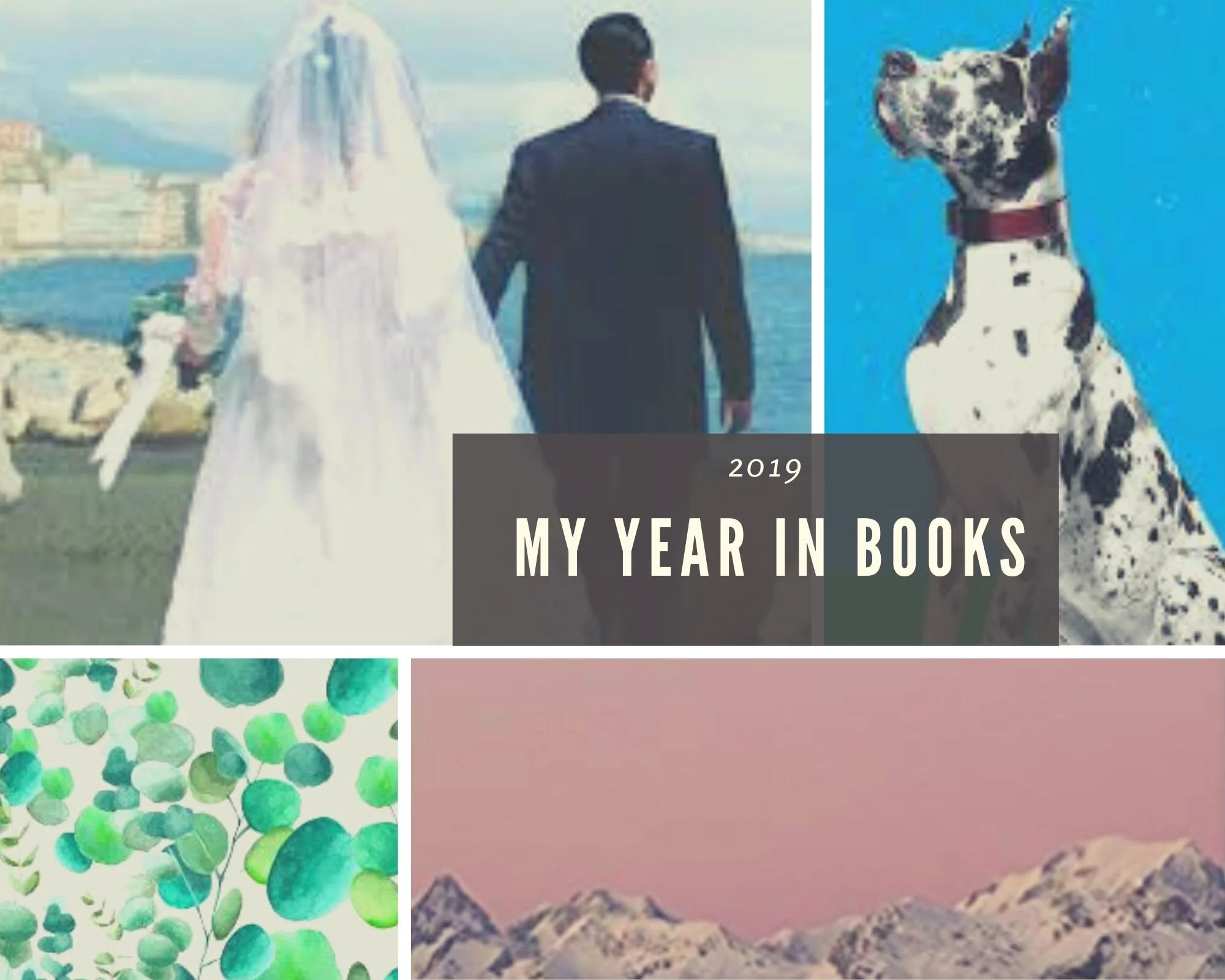 My year in books 2019