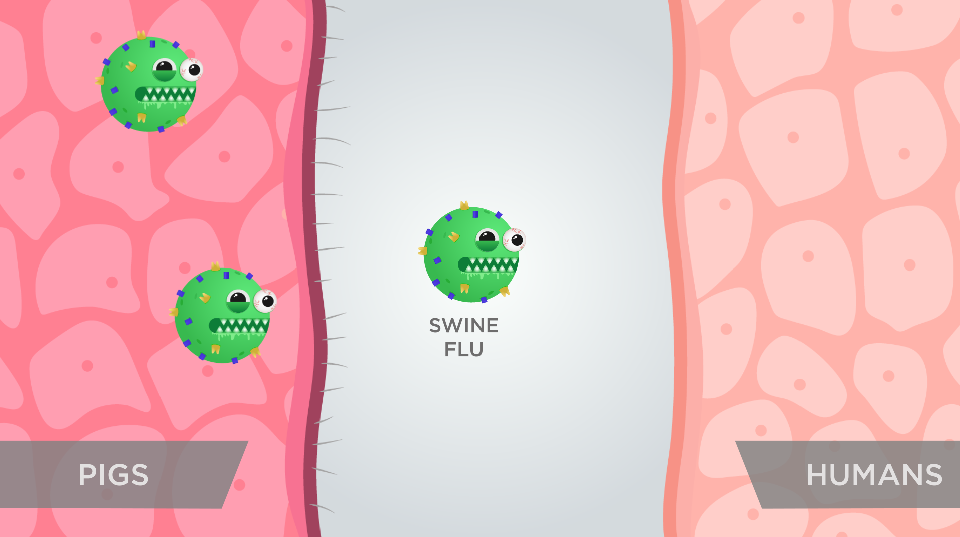 Dynamic genetic makeup: crossing the species barrier
