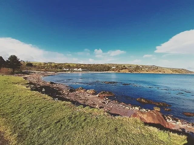 Spring..........??? 🙏🙏🙏