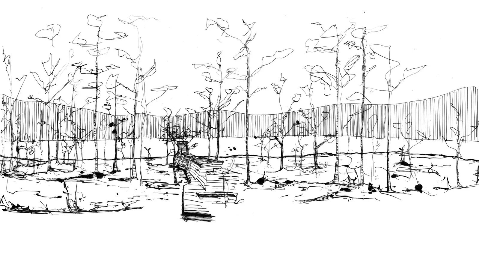 Untitled_Panorama1_1.jpg