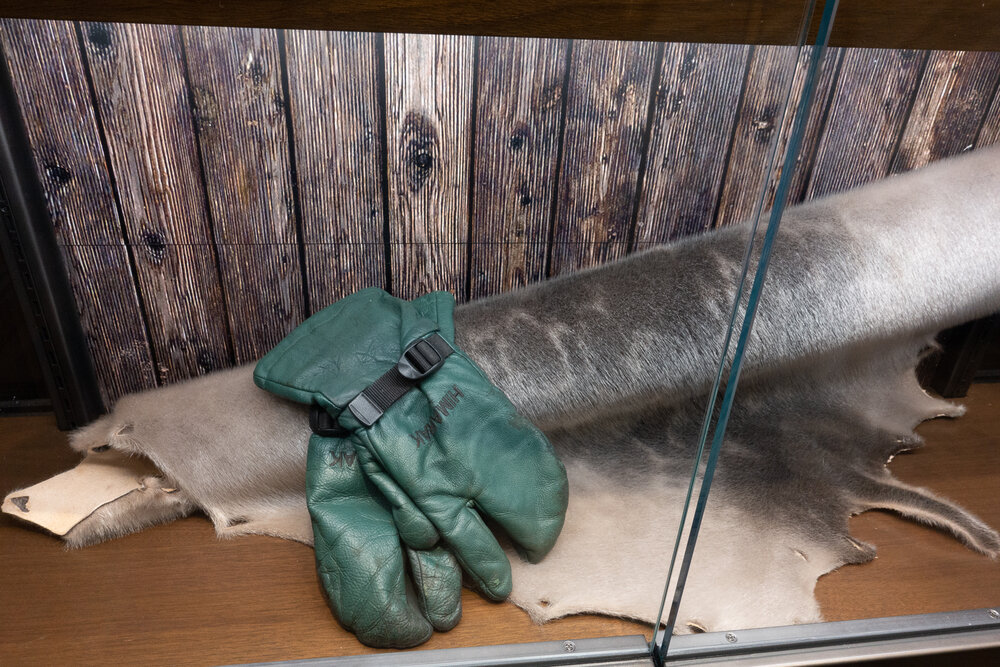 Gloves and Skin