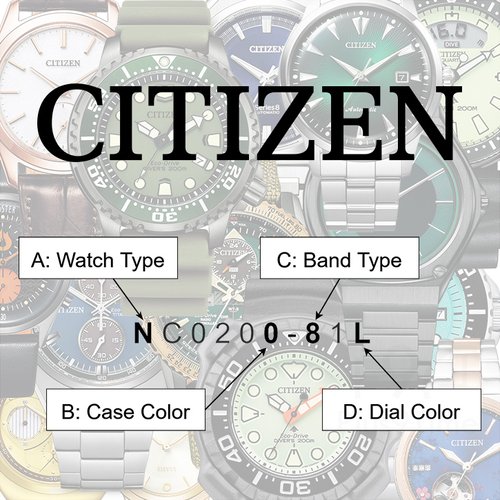 Modern Citizen Model Numbers Explained — Plus9Time