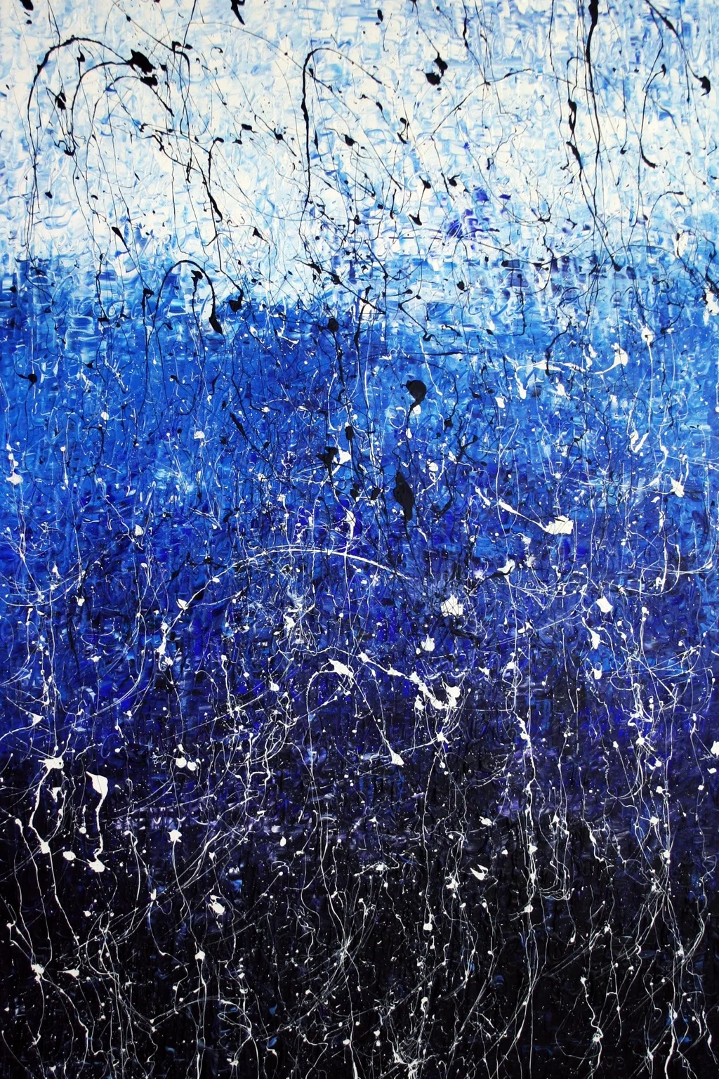 000000 image vide bleue écran.jpg