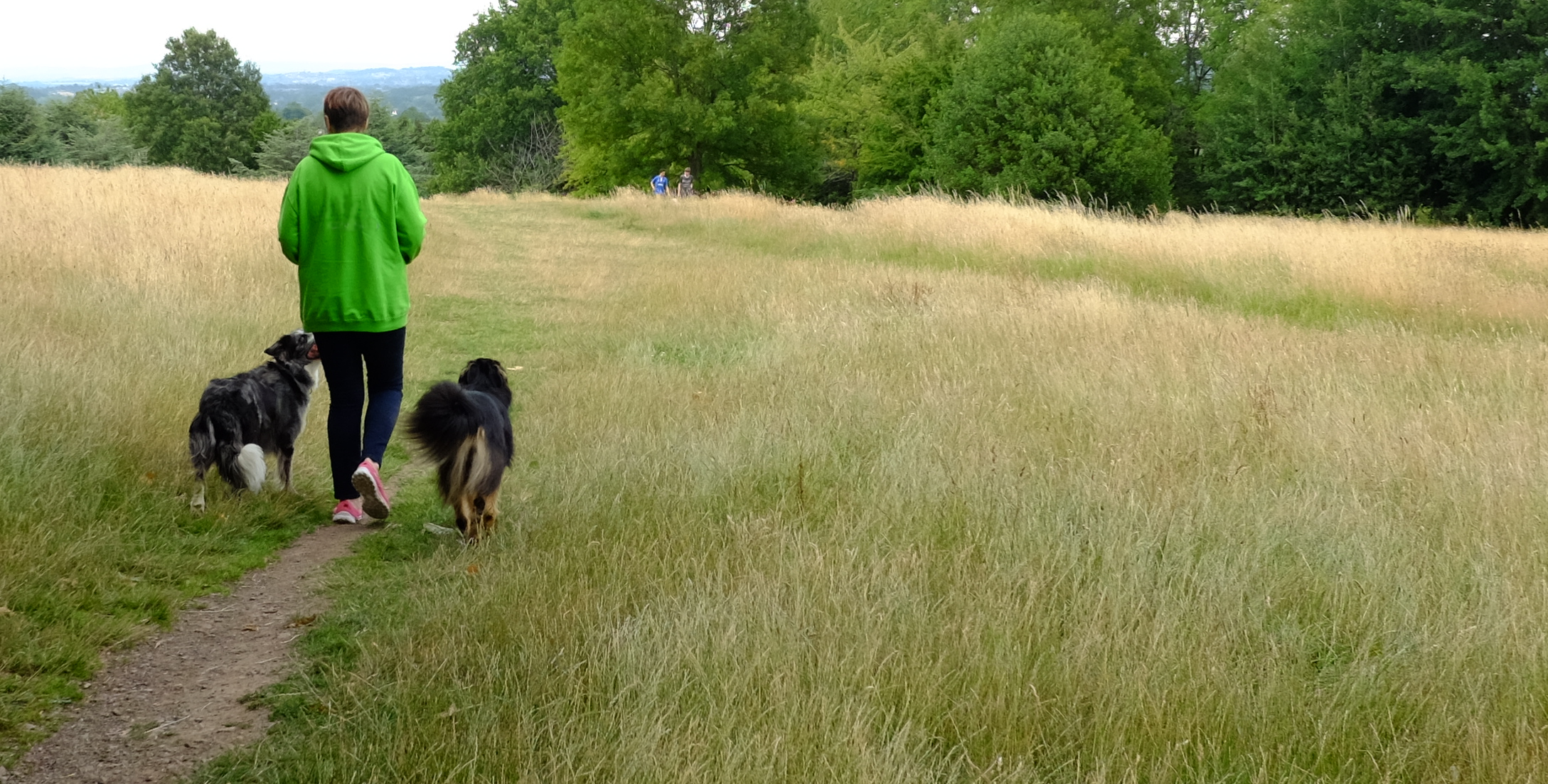 Beverley and 2 dogs walking away edit.png