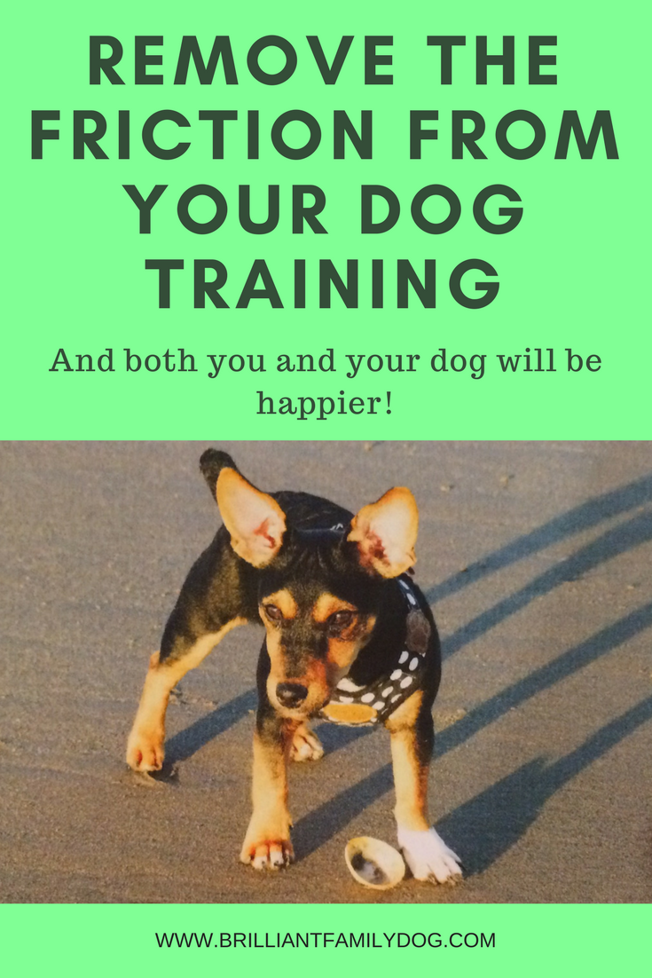 Dog training, new puppy, puppy training, dog recall training | Remove the friction from your dog training and both you and your dog will be happier! | FREE EMAIL COURSE | #newpuppy, #dogtraining, #newrescuedog, #puppytraining, #dogbehavior | www.bri…