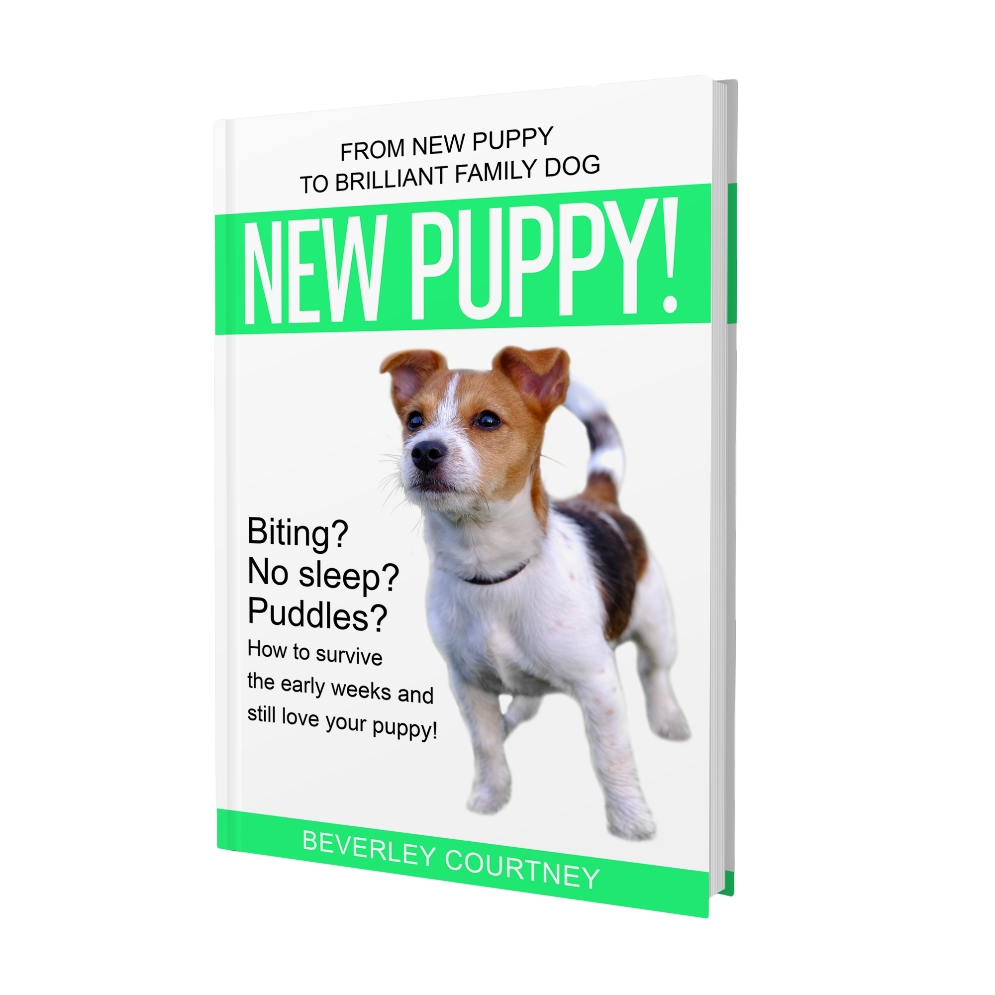 PUPPY BITING? NO SLEEP? PUDDLES?  “New Puppy!” the latest book in the Brilliant Family Dog series of dog-friendly training books will save your sanity and have you loving your puppy again