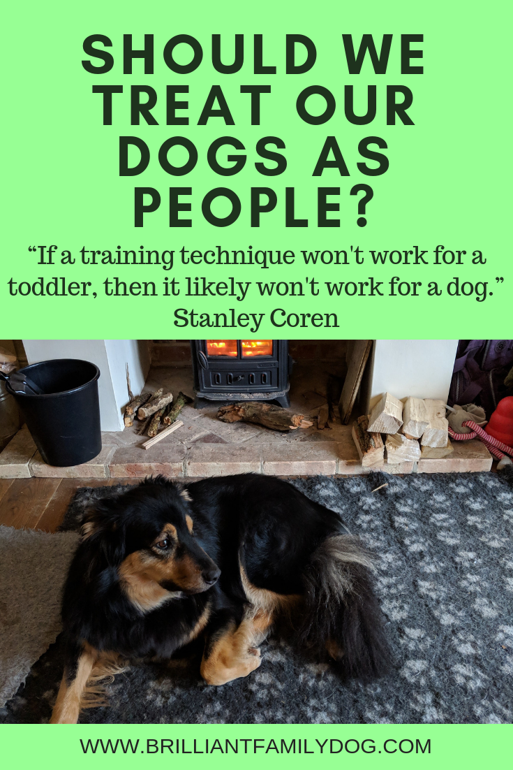 Should we treat our dogs as people? — Brilliant Family Dog