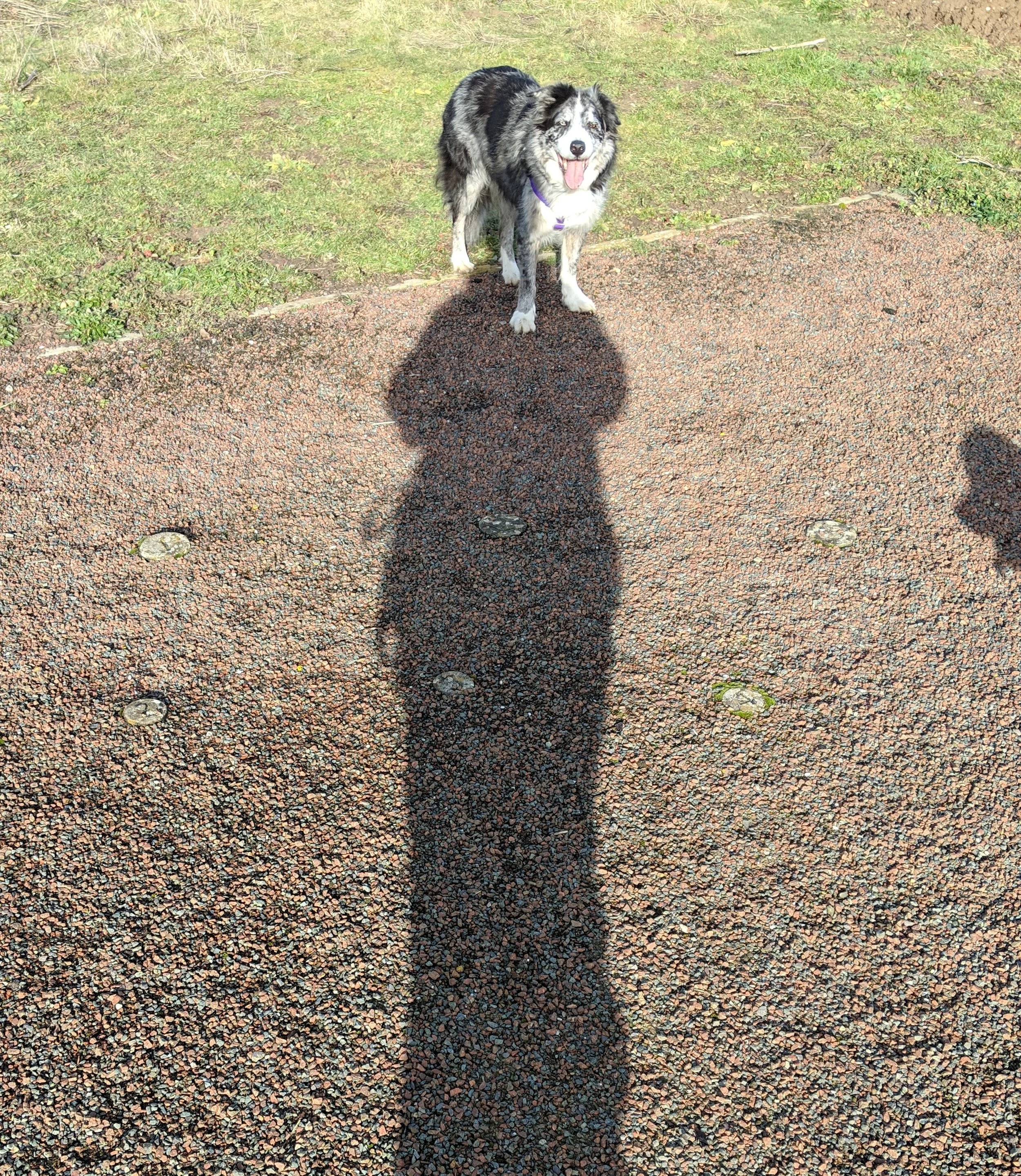 Watch out for funny shadows in your photos and video!
