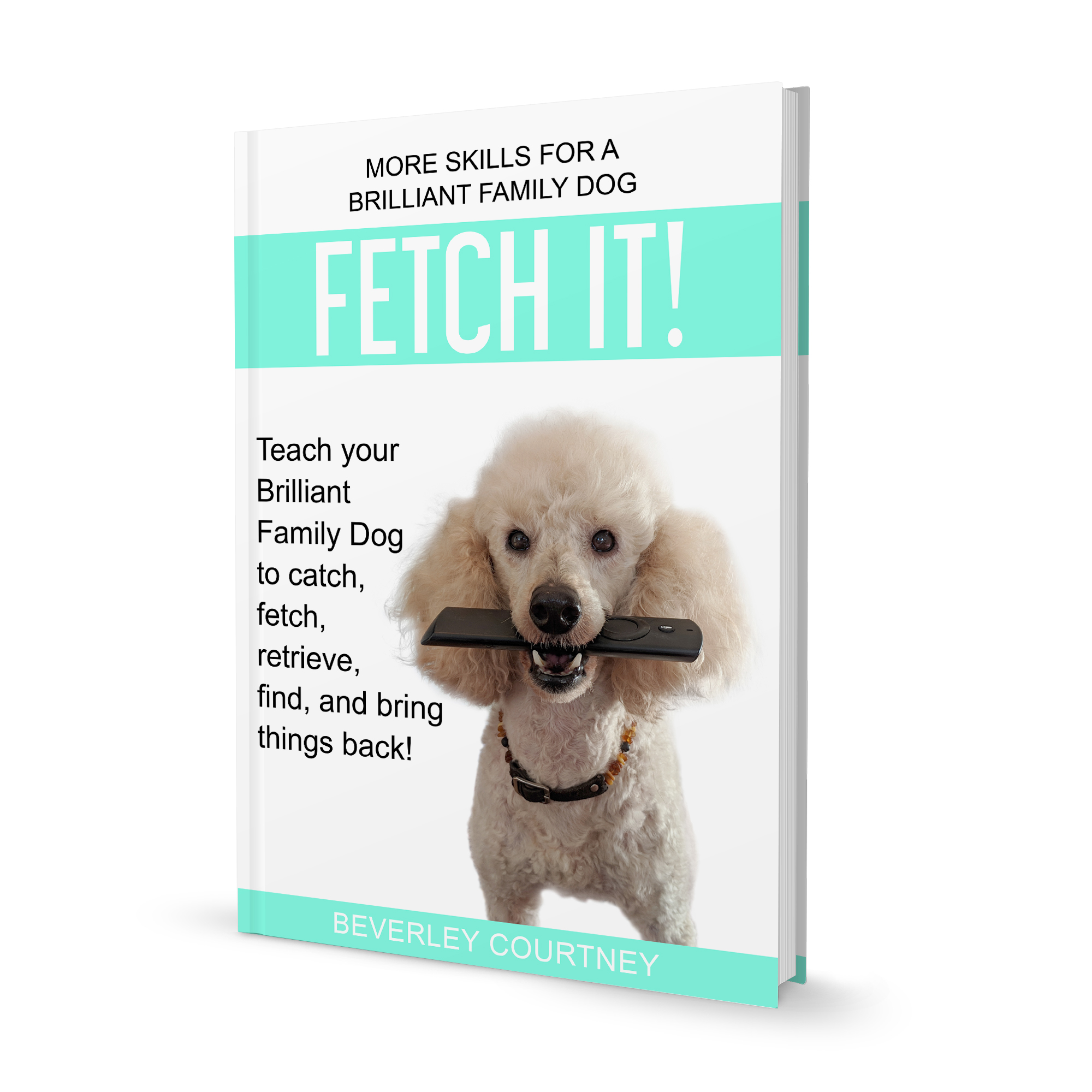 Want to turn your dog into a star retriever? Check Fetch it! Teach your Brilliant family Dog  to catch fetch, retrieve, find and bring things back! and enjoy a new relationship with your dog.