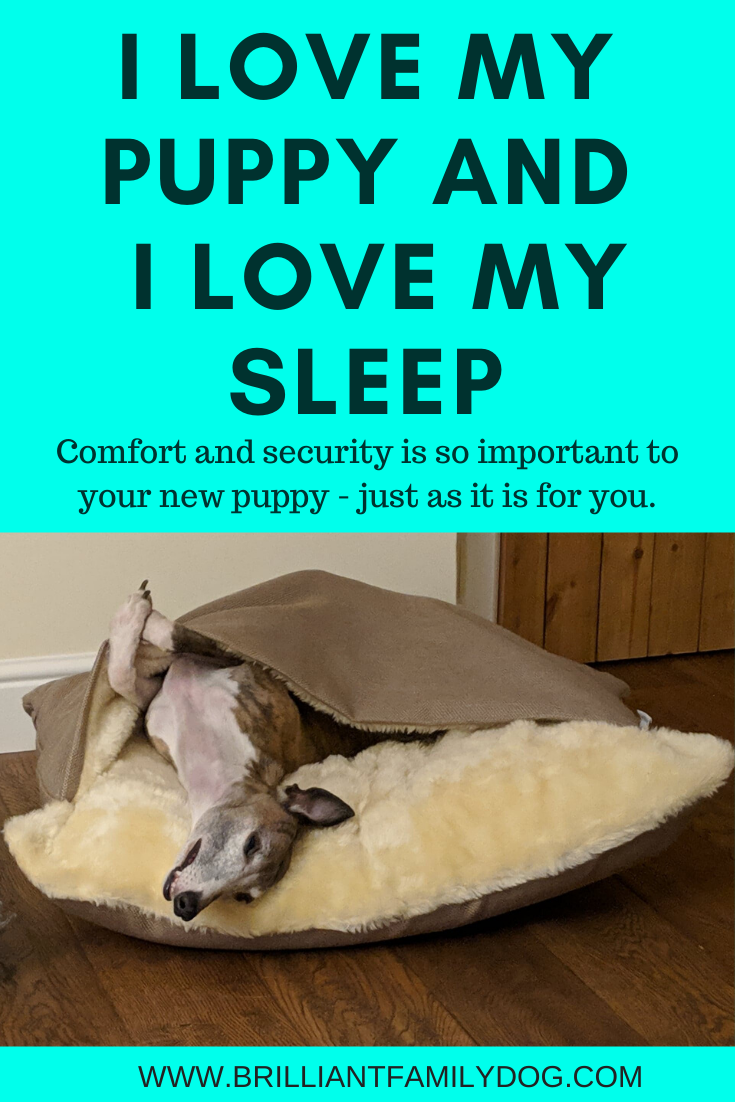 Your Dog How To Get A Puppy To Sleep On Its Own How To Train Dog