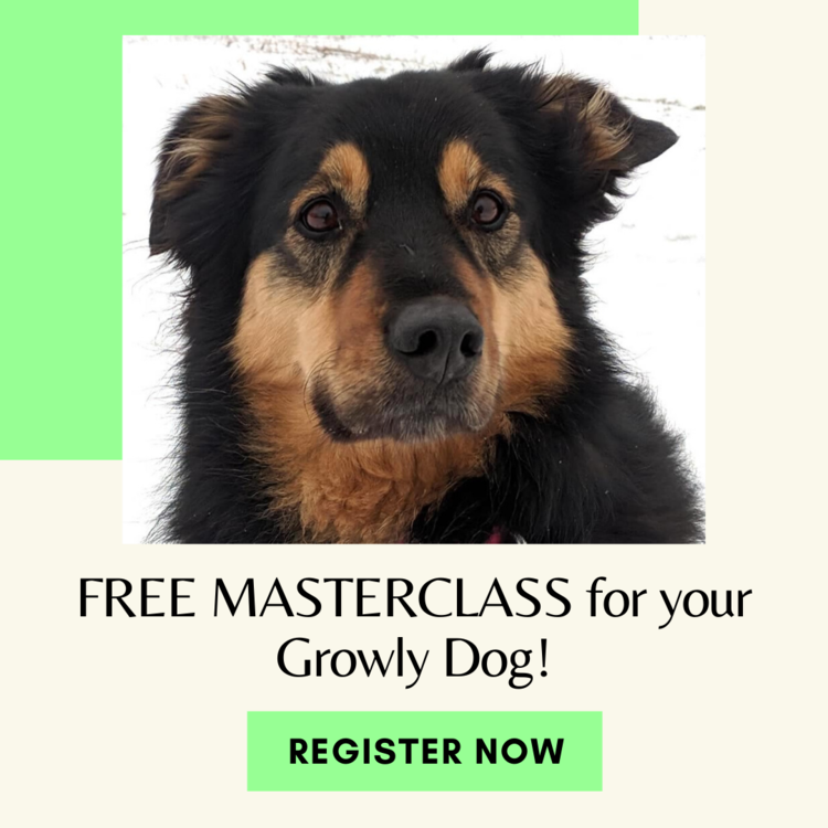 Free Masterclass for your Growly Dog