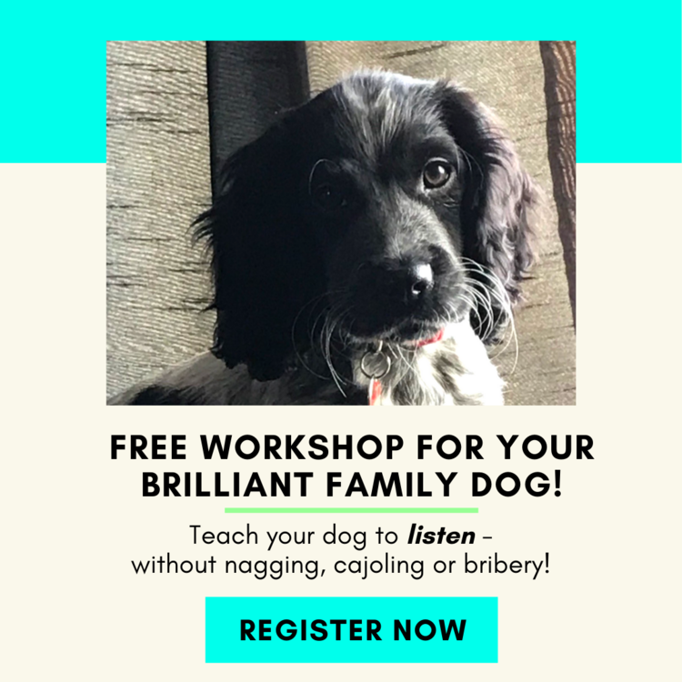 Free Workshop for your Brilliant Family Dog