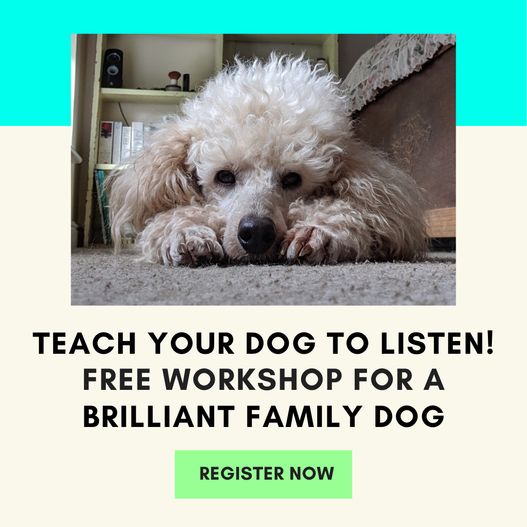 Brilliant+Family+Dog+is+committed+to+improving+the+lives+of+dogs+and+their+harassed+owners.+Join+our+free+Workshop+to+find+out+just+how+you+can+teach+your+dog+to+listen,+without+nagging,+cajoling,+or+bribery!+ +FREE+WORKSHOP+ +#dogtraining,+#newresc…