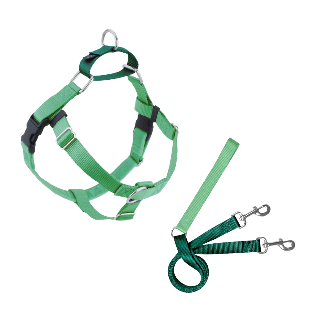 NEON GREEN.png