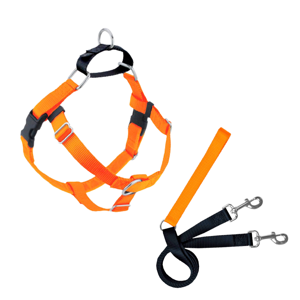 NEON ORANGE.png