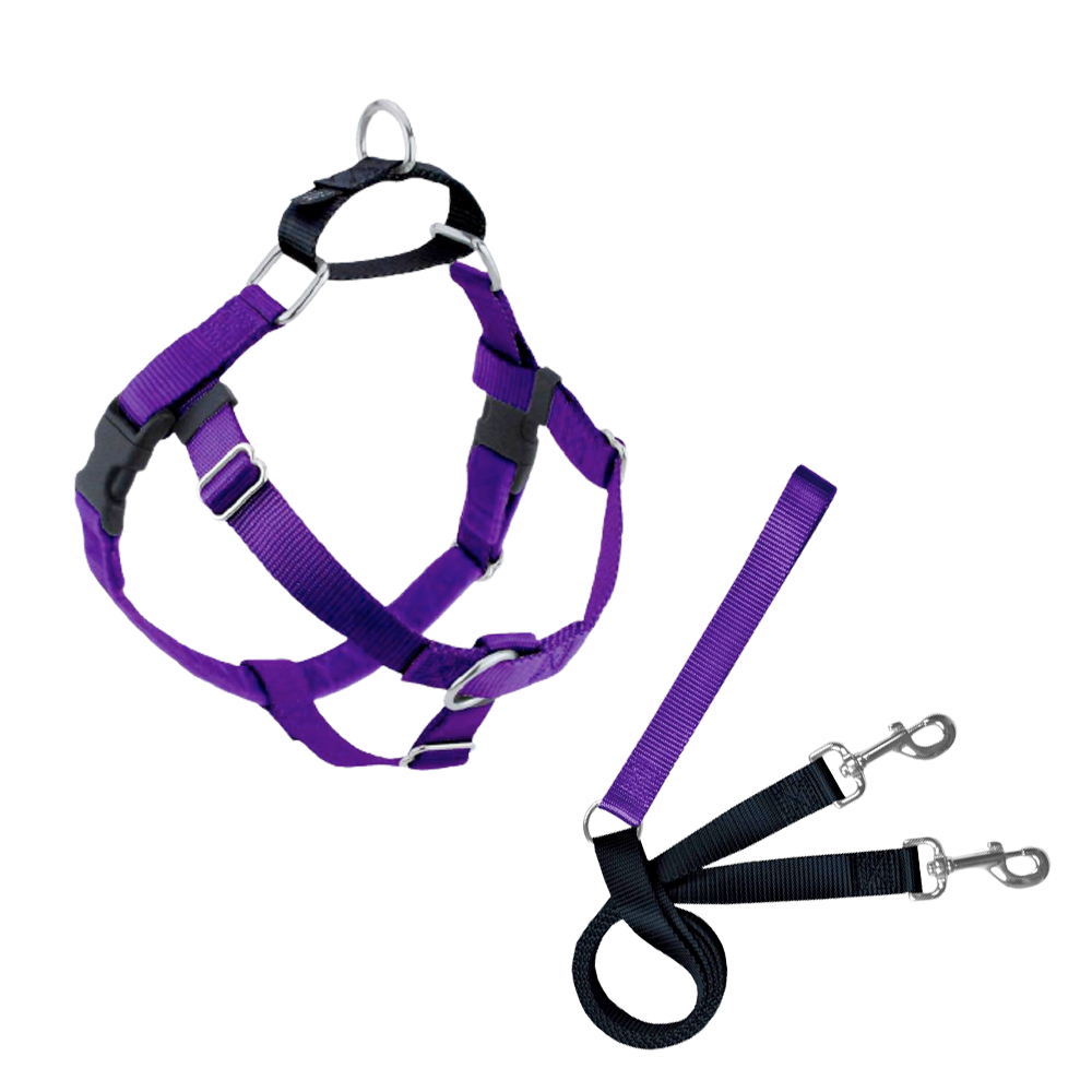 PURPLE.png