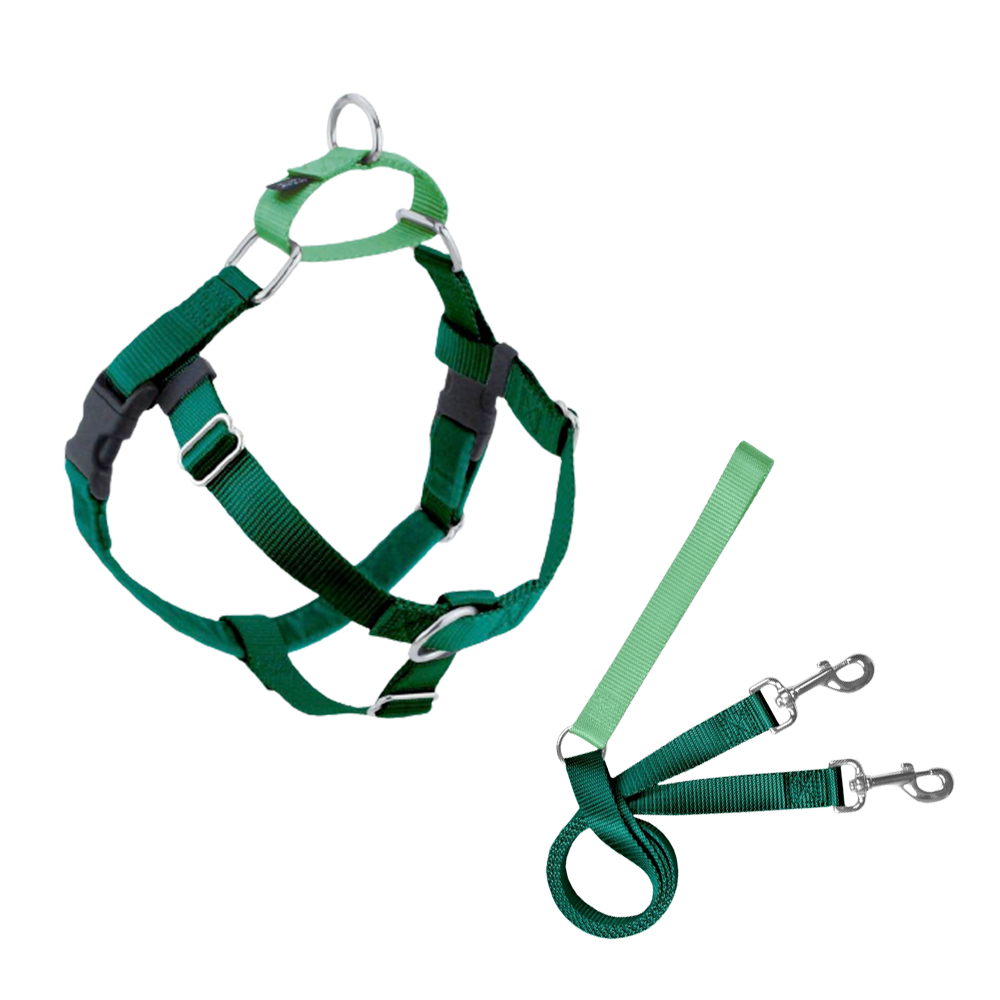 KELLY GREEN.png