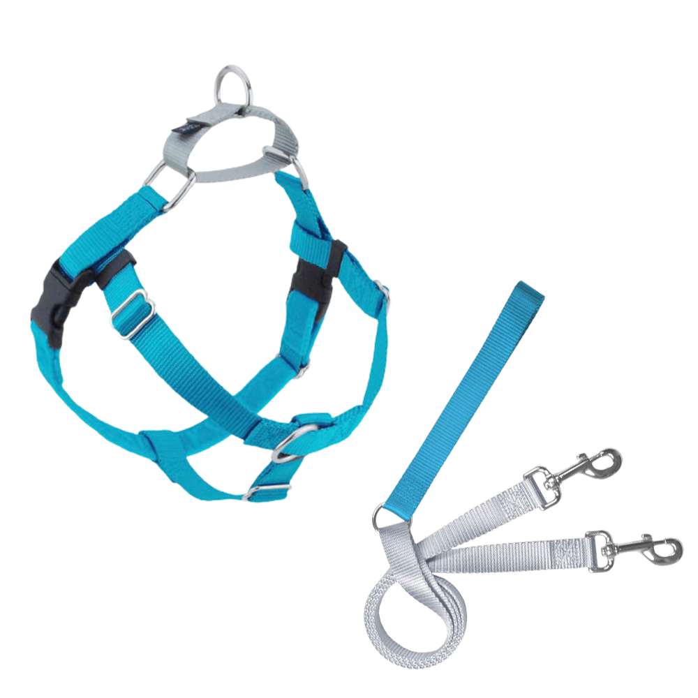 TURQUOISE.png