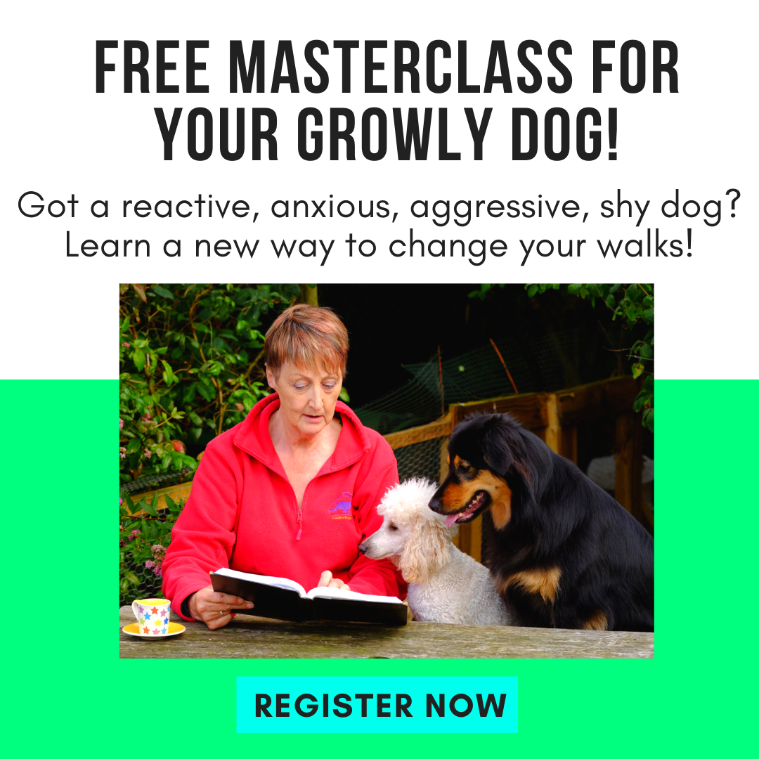 Free Masterclass for your Growly Dog