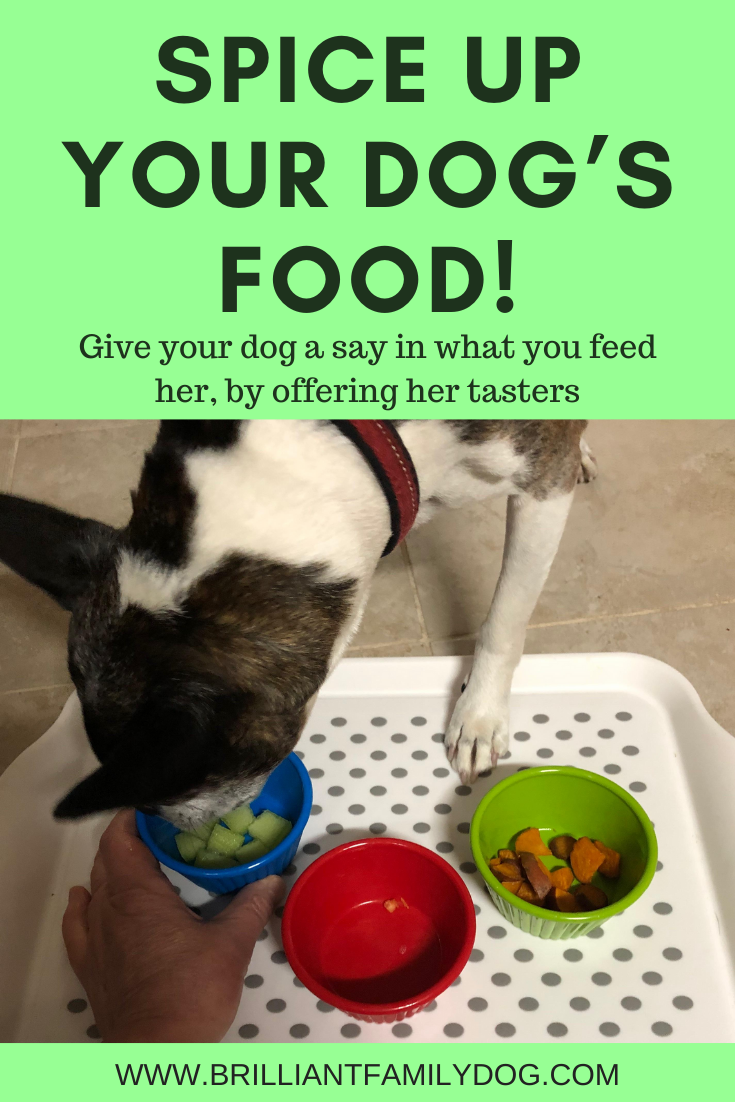 what happens if you feed your dog human food