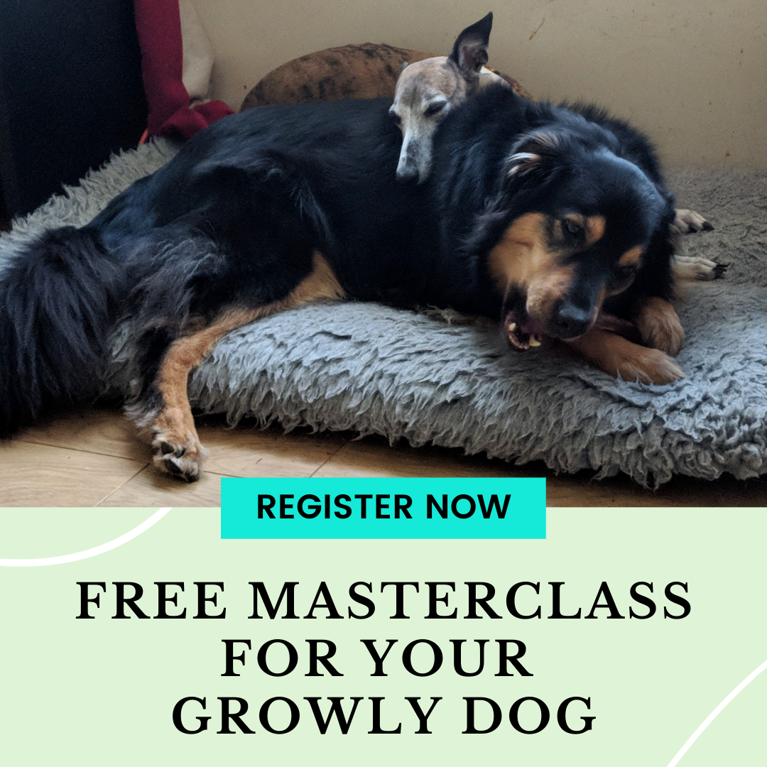 Free Masterclass