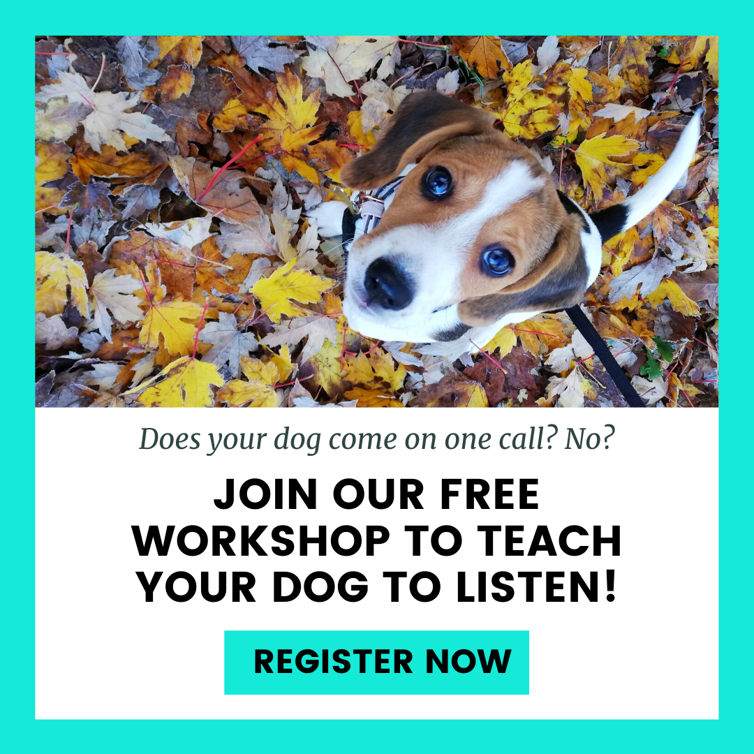 FREE WORKSHOP