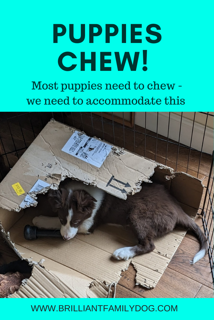 blog Yannick playpen 3 closer.jpg