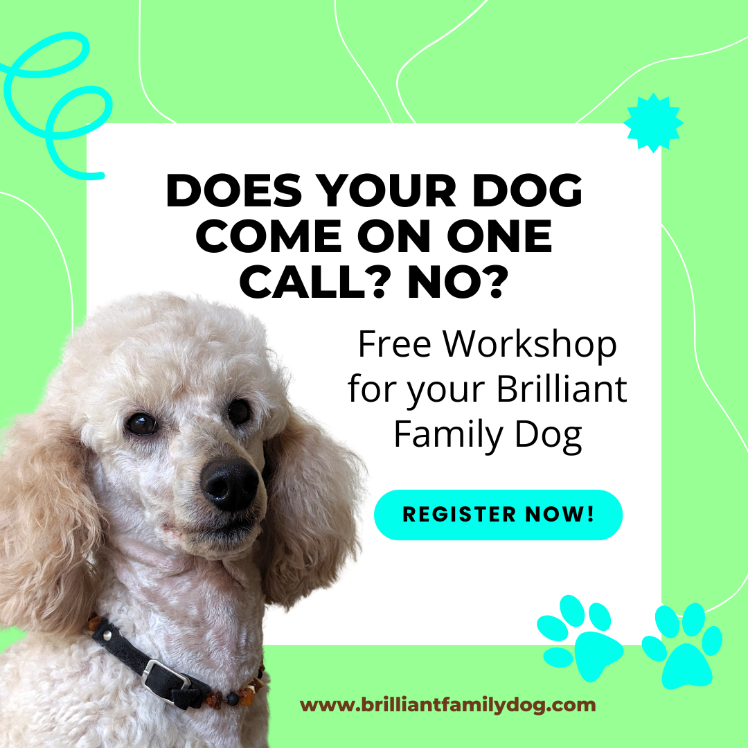 FREE DOG TRAINING WORKSHOP