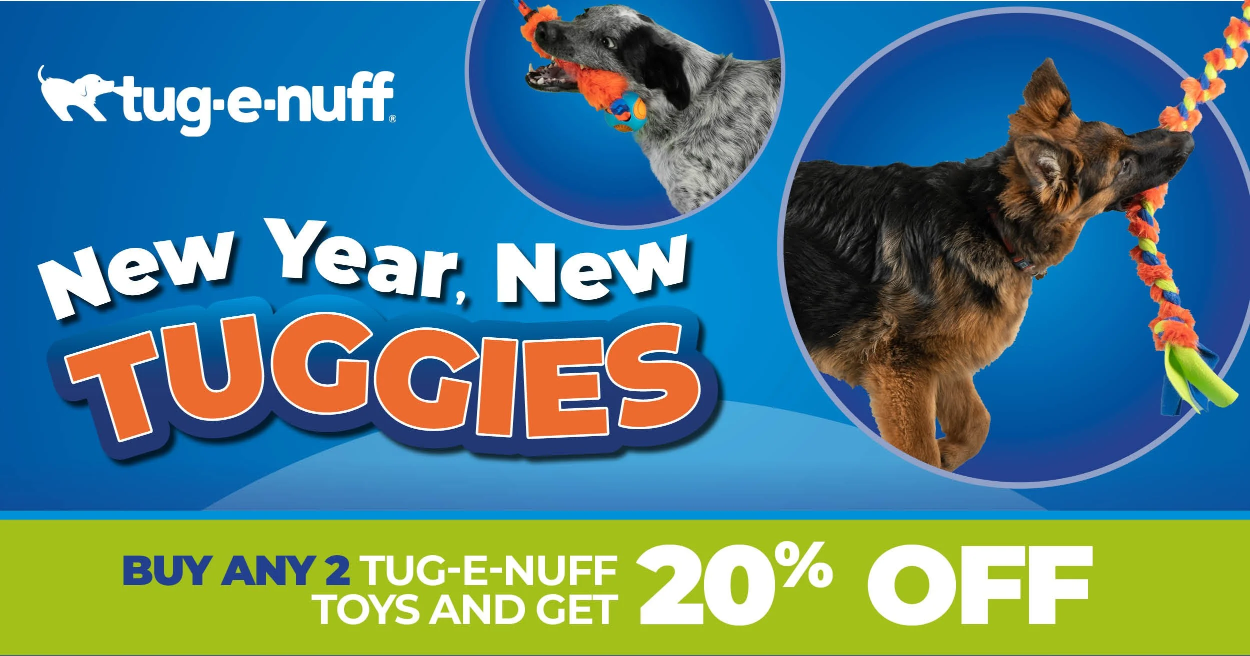 Tugenuff with Brilliant Family Dog