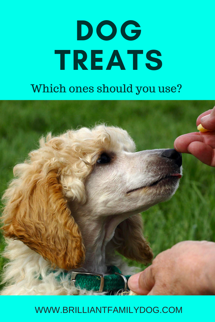 Dog Treats Brilliant Family dOG