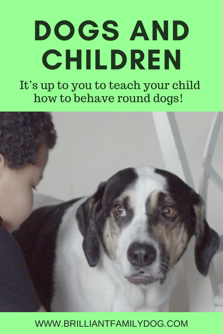 DOGS AND CHILDREN BRILLIANT FAMILY DOG